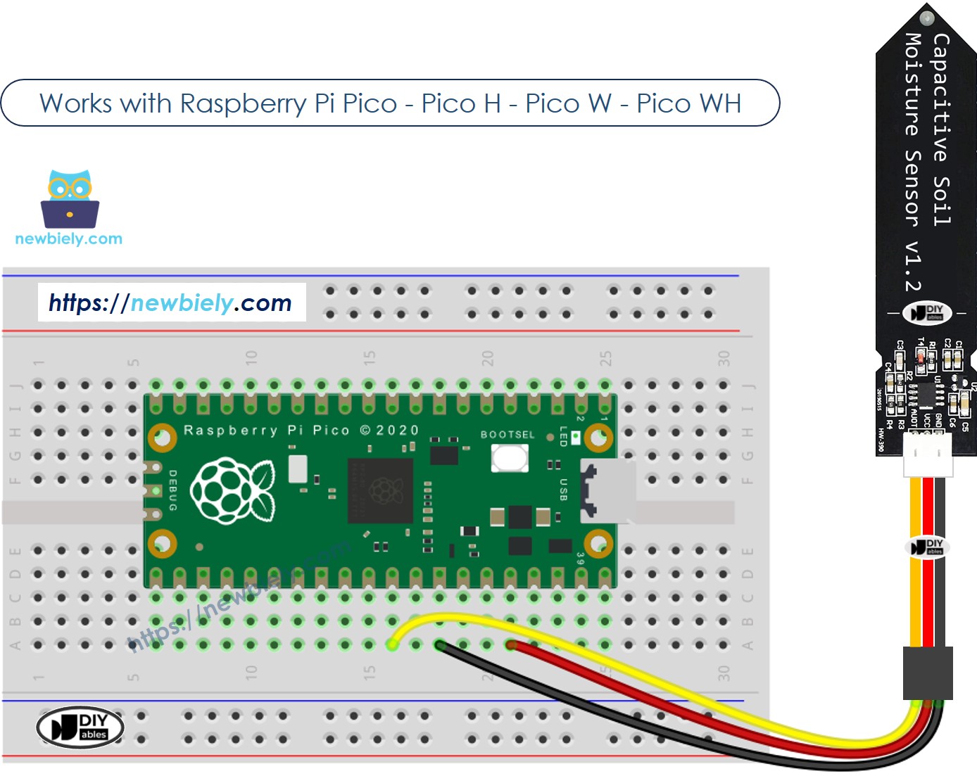 The wiring diagram between Raspberry Pi and Pico soil moisture sensor