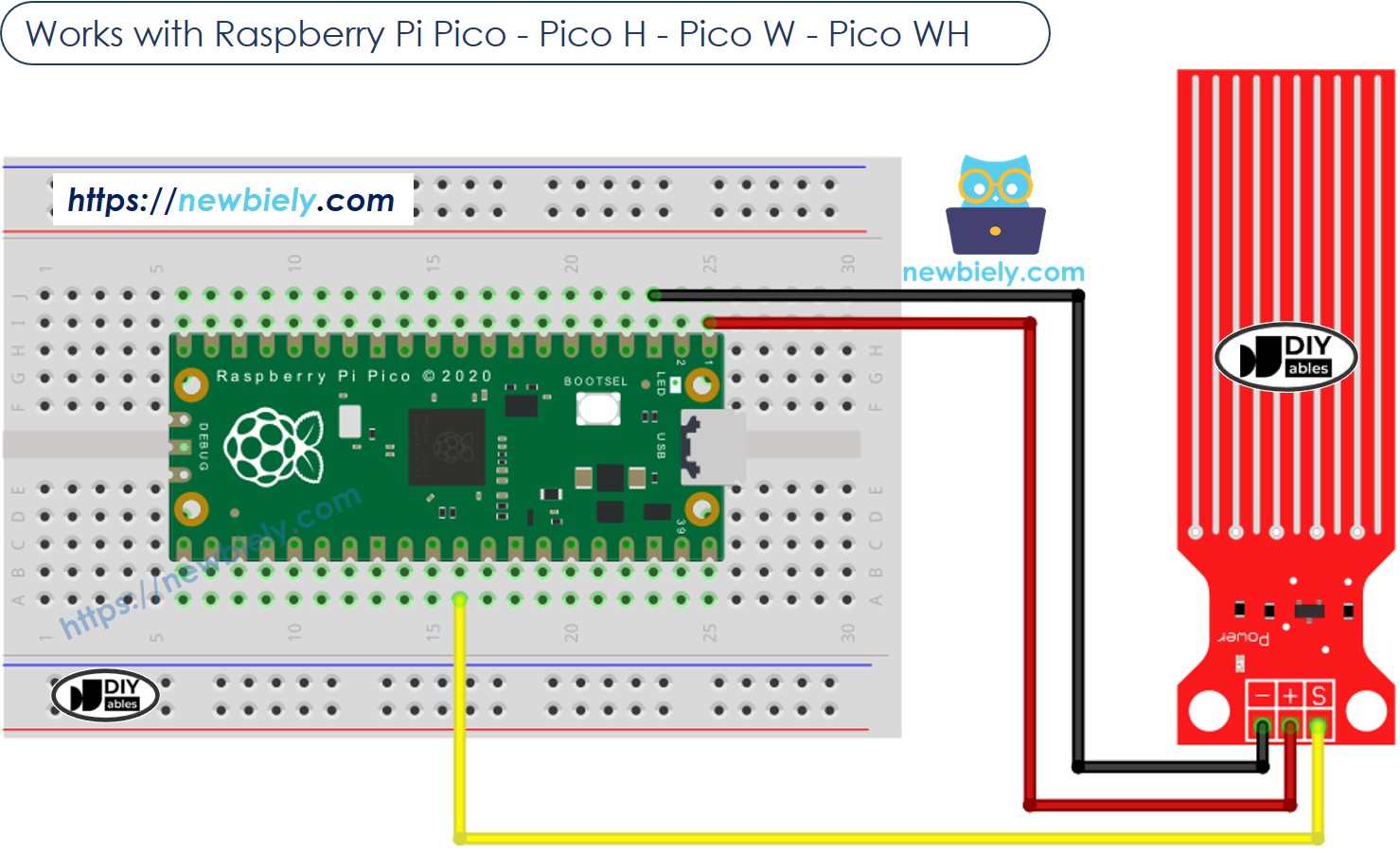 The wiring diagram between Raspberry Pi and Pico Water Sensor