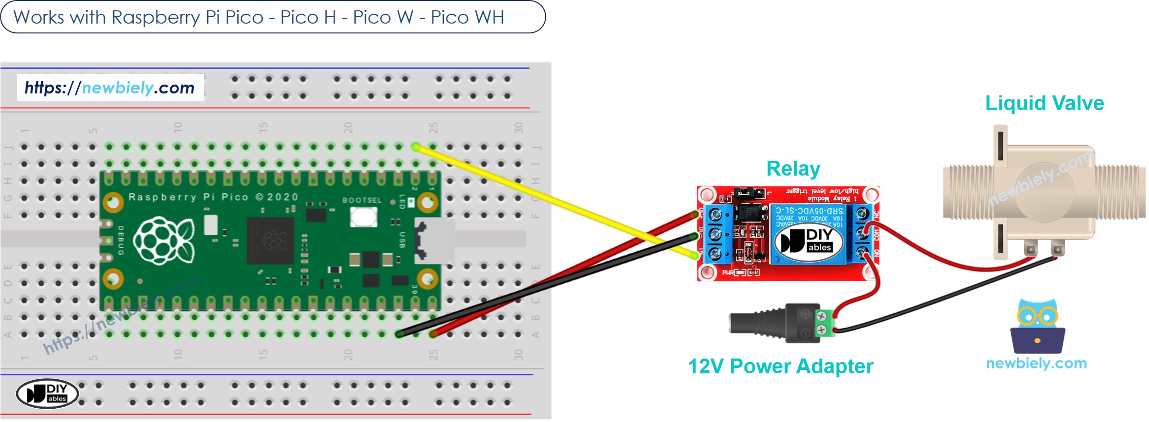 The wiring diagram between Raspberry Pi and Pico water valve