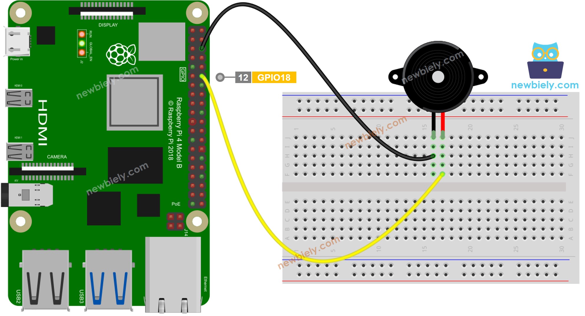 The wiring diagram between Raspberry Pi and Piezo Buzzer