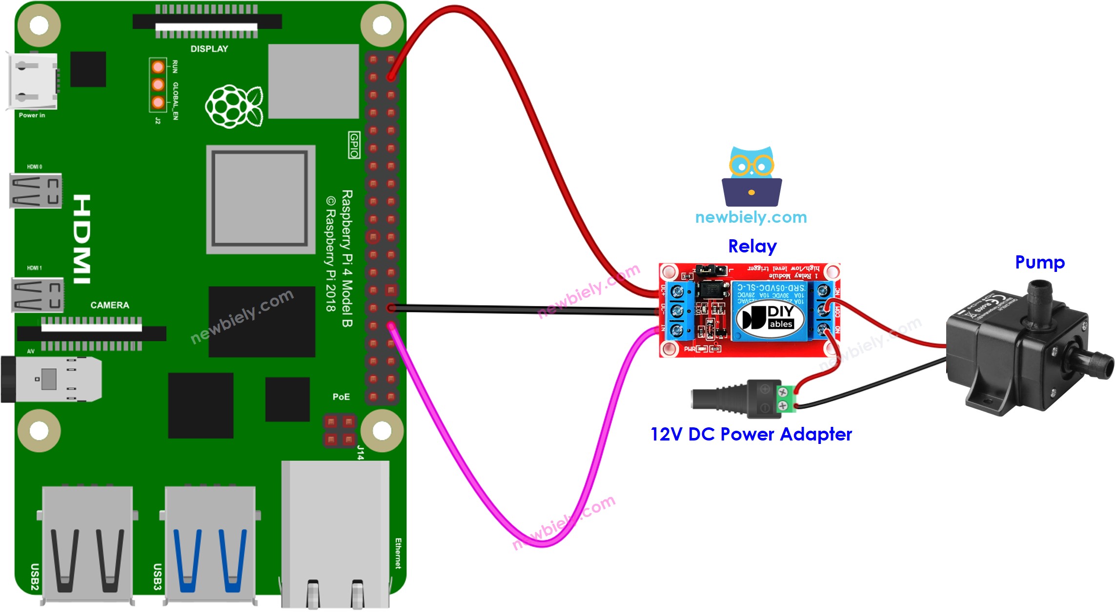 The wiring diagram between Raspberry Pi and Pump