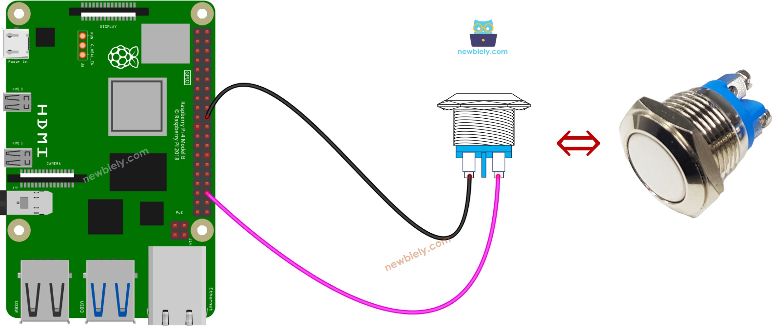 The wiring diagram between Raspberry Pi and two-pin push button