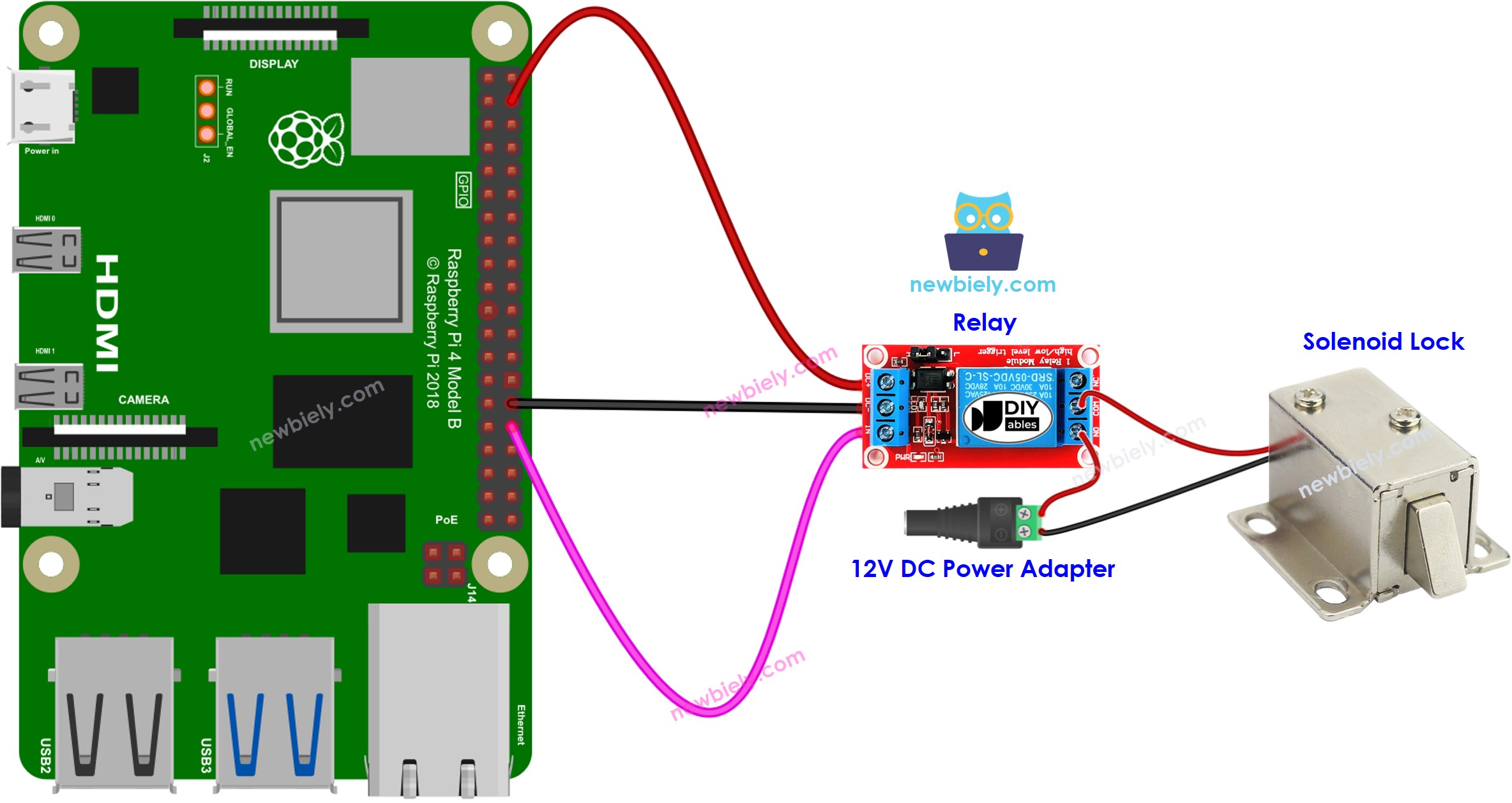 The wiring diagram between Raspberry Pi and Solenoid Lock