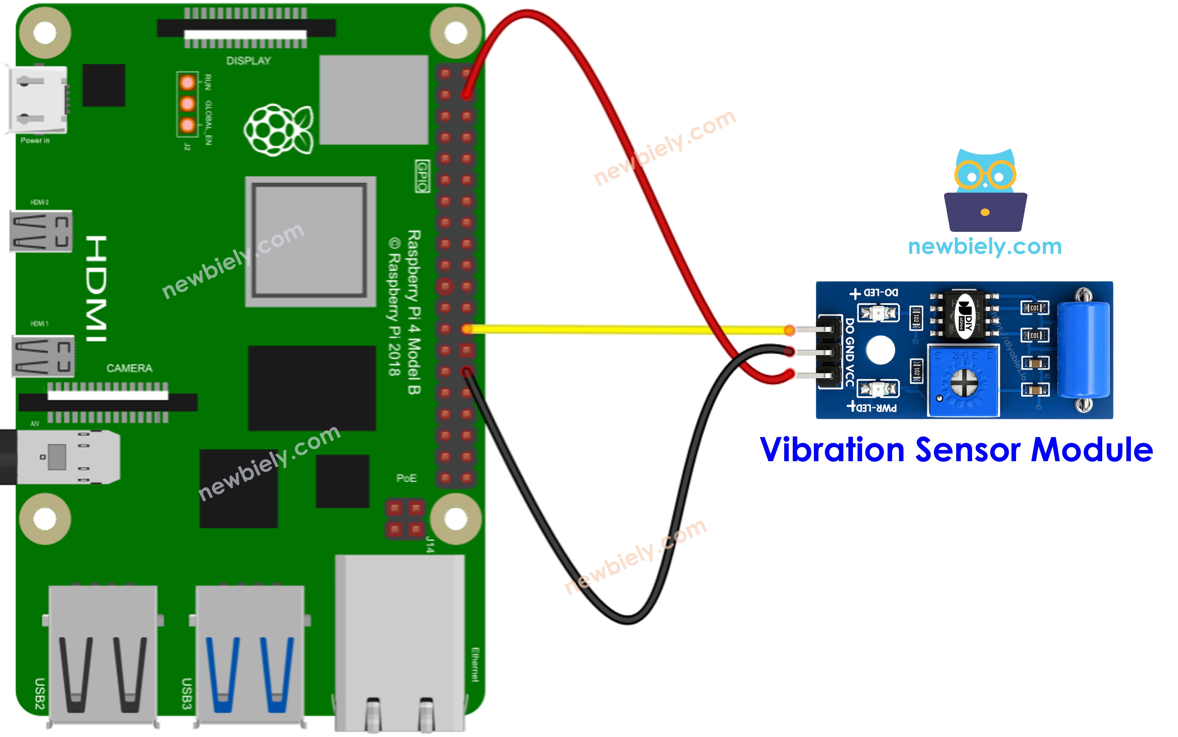 The wiring diagram between Raspberry Pi and SW-420 Vibration Sensor