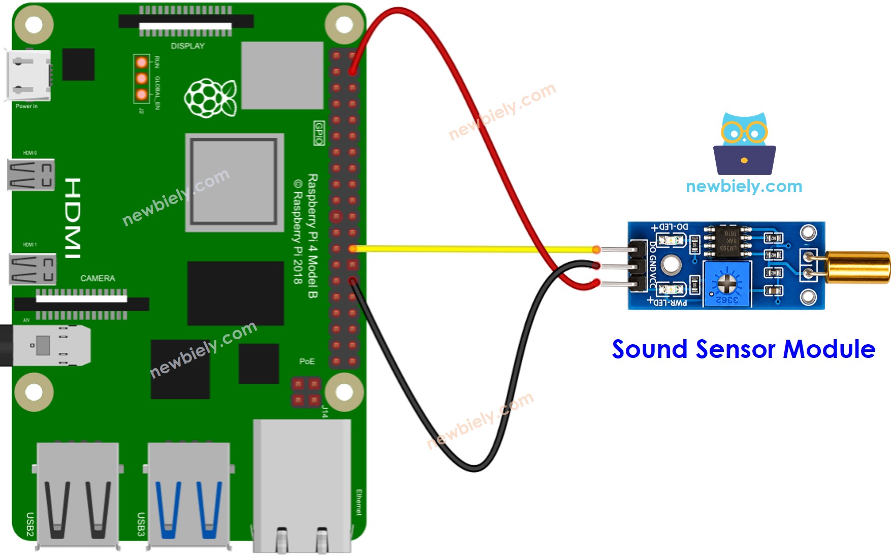 The wiring diagram between Raspberry Pi and SW520D Tilt Sensor