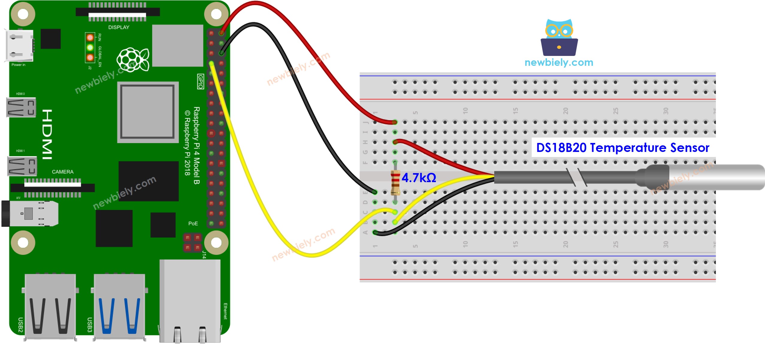 The wiring diagram between Raspberry Pi and temperature sensor