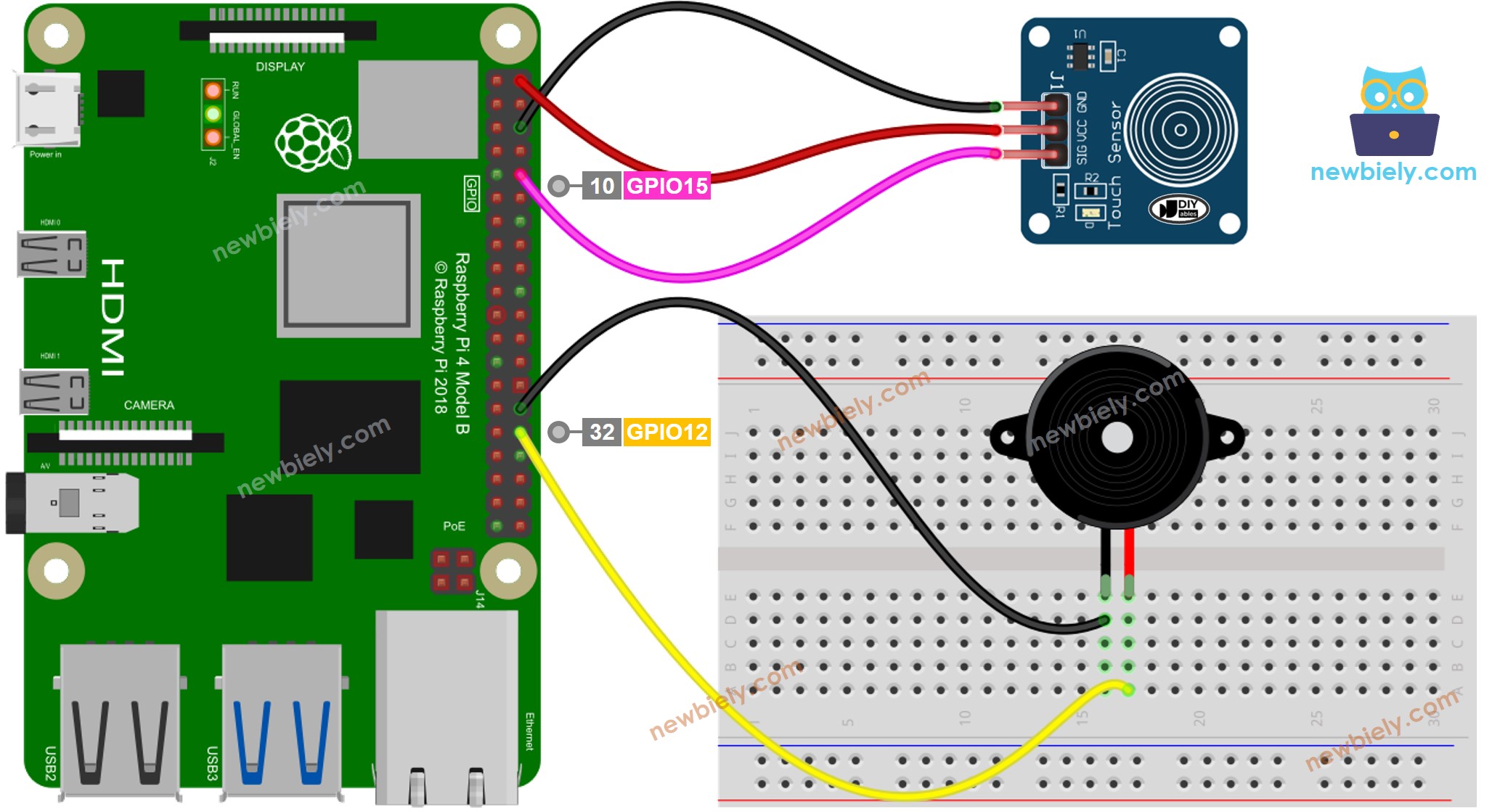 The wiring diagram between Raspberry Pi and Touch Sensor Piezo Buzzer