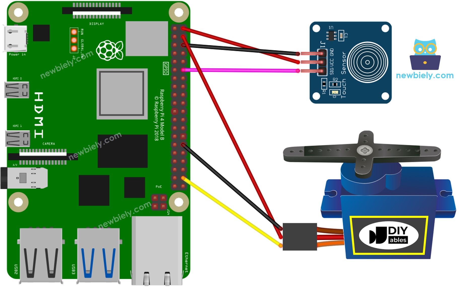 The wiring diagram between Raspberry Pi and Touch Sensor Servo Motor