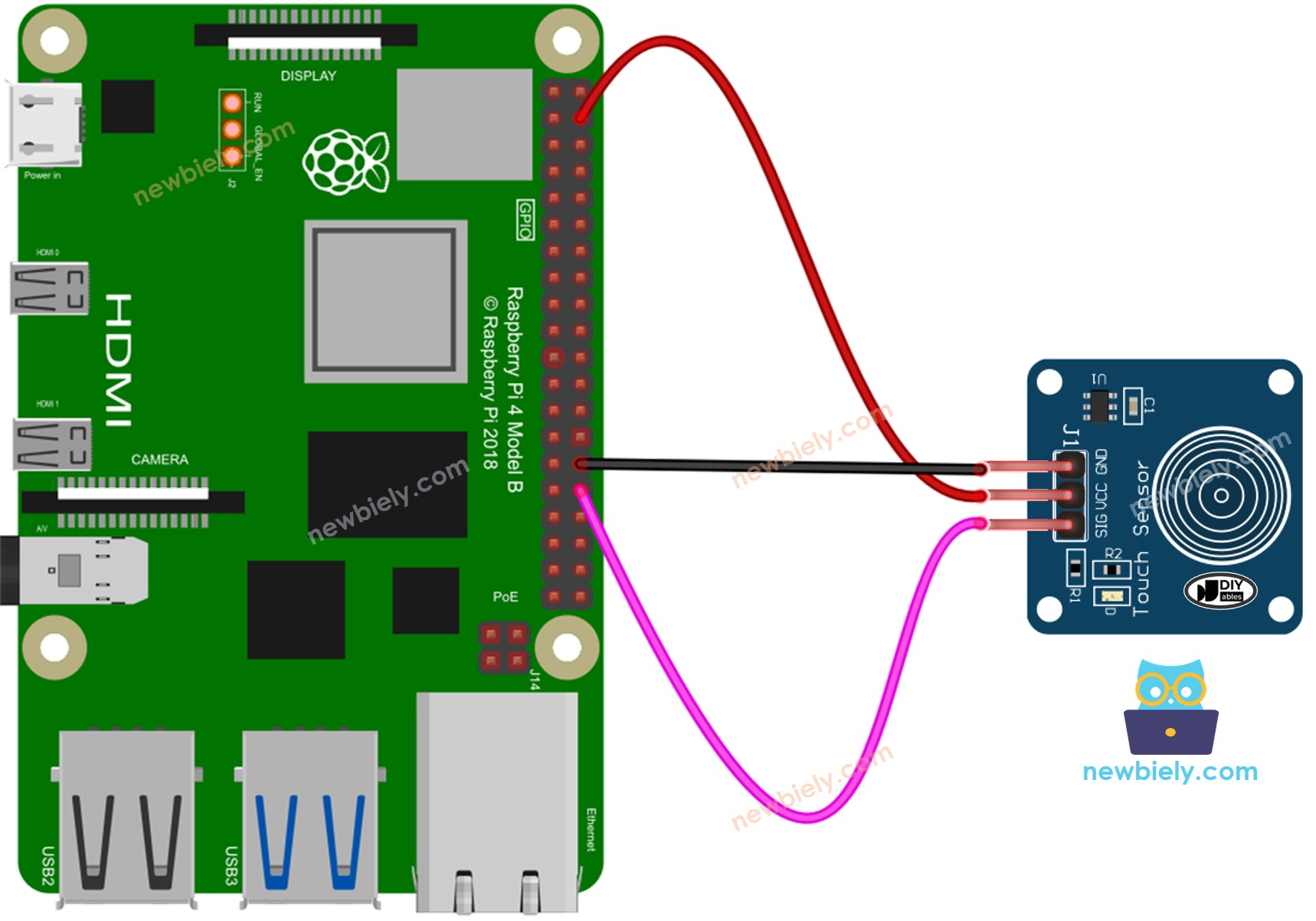 The wiring diagram between Raspberry Pi and Touch Sensor