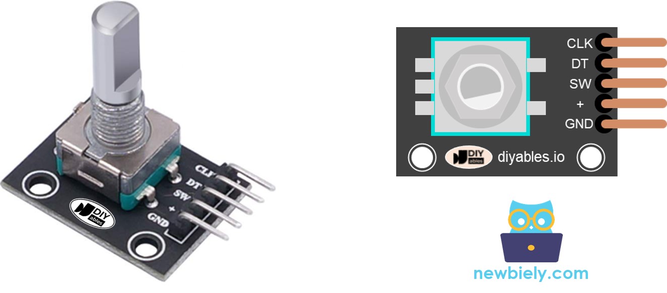 rotary encoder pinout